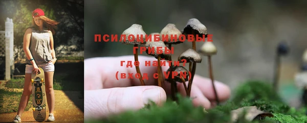 индика Верхнеуральск
