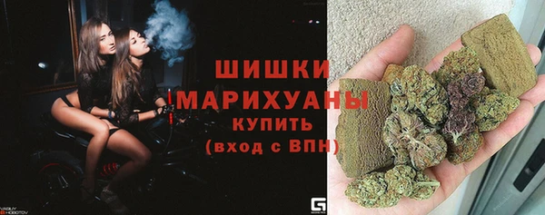 ешки Верхний Тагил